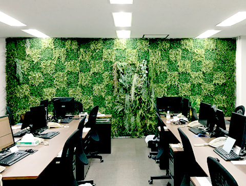 オフィス緑化